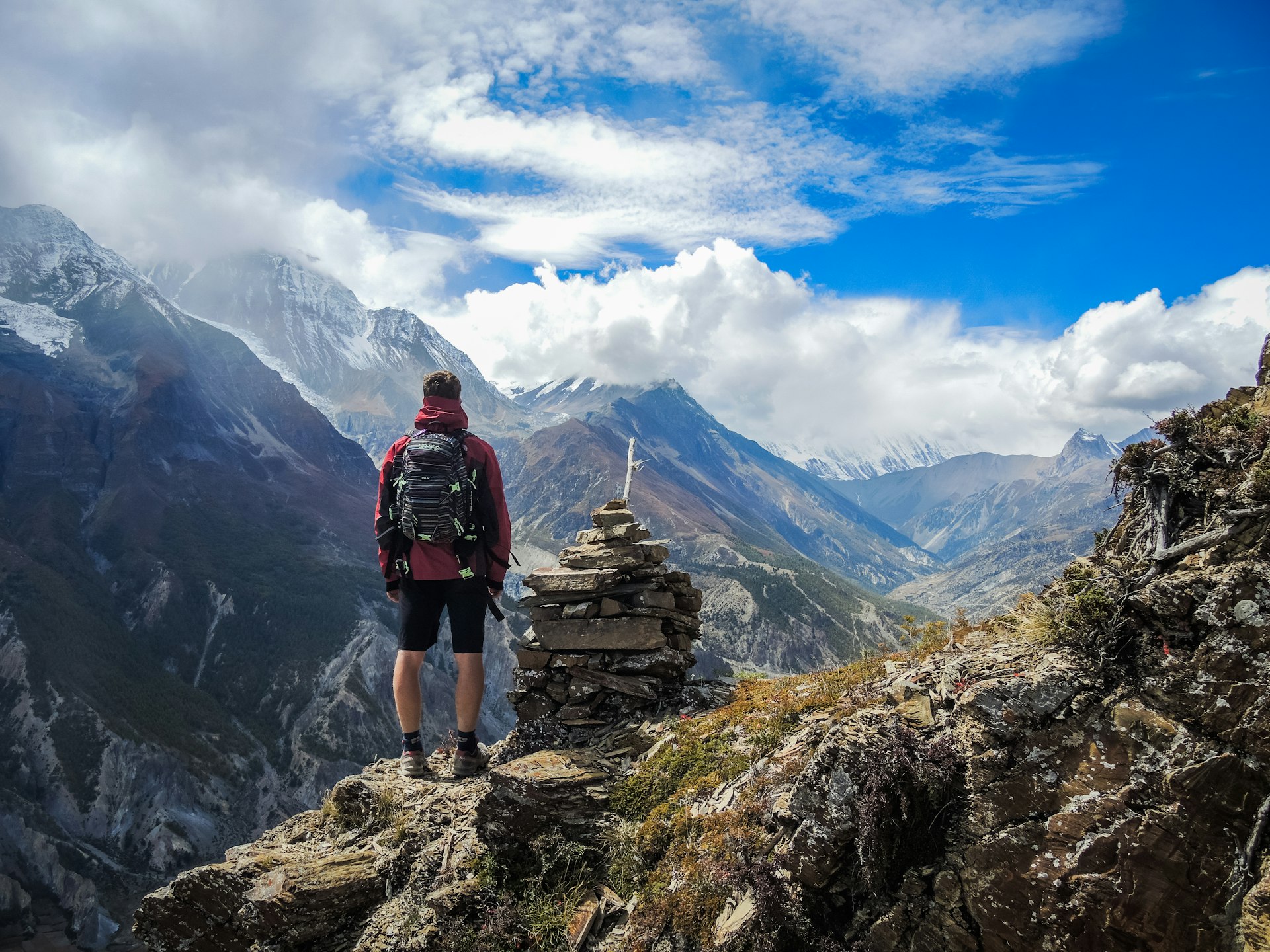 AXA vs Cigna vs Allianz international health insurance comparison for expats